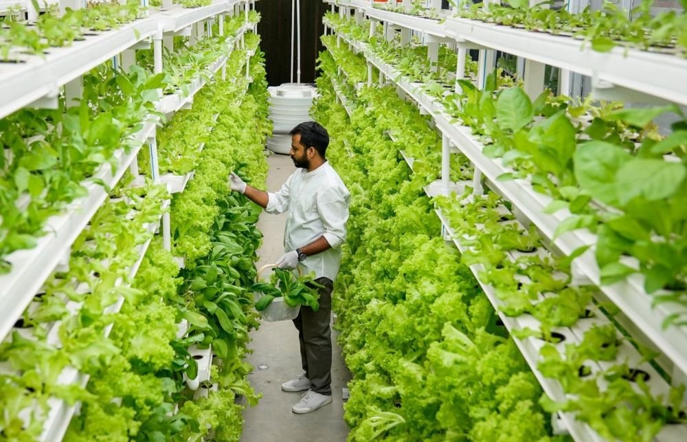 Top 7 Global Innovations in Hi-Tech Agriculture: Transforming the Agricultural Landscape Image