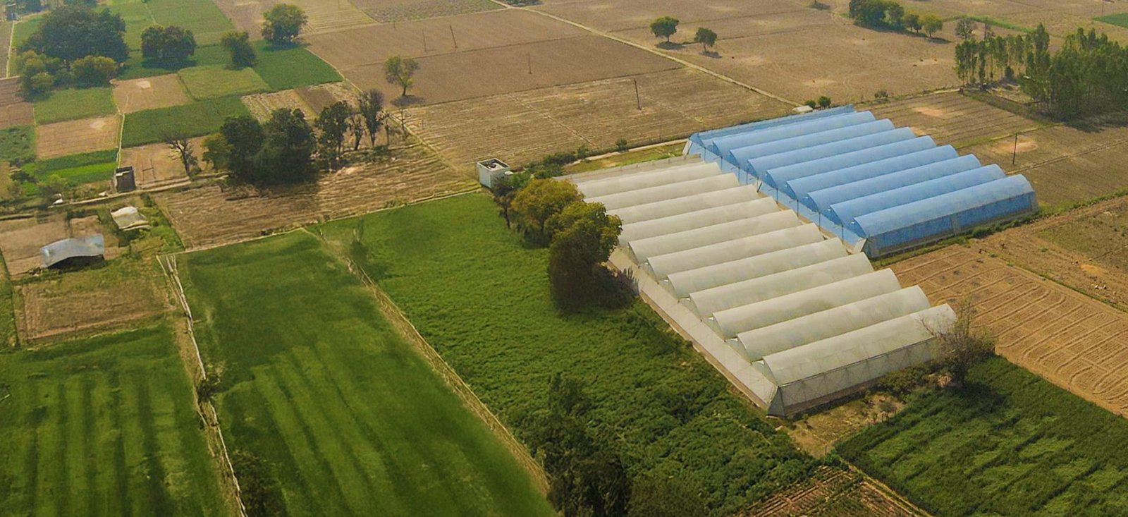 Image of Future-Ready Farming Begins with Agriplast North
